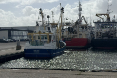 2026-03-30-15-04-03_resultaat