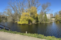 2026-04-07-14-55-21_result