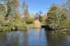 watermarked-69d51bf309809