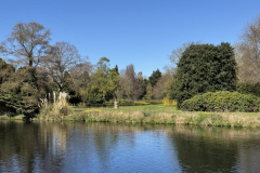 watermarked-69d51bf88560d