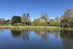 watermarked-69d51bfa676cc