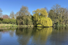 watermarked-69d51bfc3774f