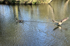 watermarked-69d51c03b889d